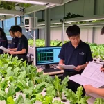 Collaboration in a modern indoor agriculture facility using cika4d link for optimal growth solutions.