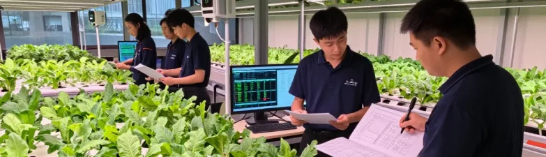 Collaboration in a modern indoor agriculture facility using cika4d link for optimal growth solutions.